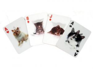 3D Spelkort med söta katter