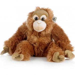 WWF (Världsnaturfonden) Orangutang - WWF (Världsnaturfonden)