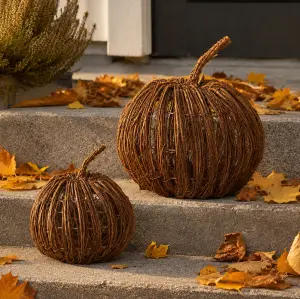 Pumpa Natur - Wikholm Form