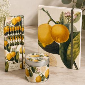Presentset Citron, Anteckningsbok, pennor & doftljus