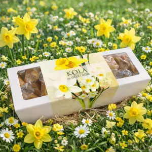 Citronkolor i p&aring;skask - Sk&ouml;na Ting