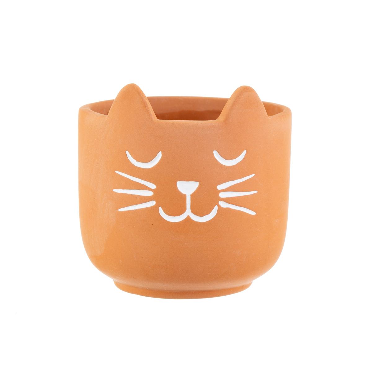 Minikruka Katt