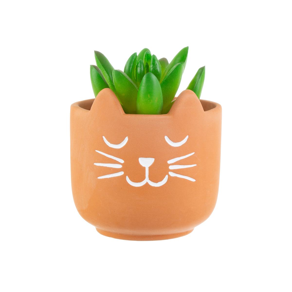 Minikruka Katt
