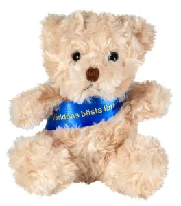 Nalle Världens bästa lärare