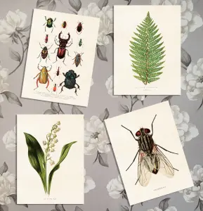 Poster Vintage Collection, 18 x 24cm