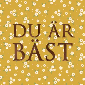 Kort Du &auml;r b&auml;st (flerf&auml;rgad, folierad text)