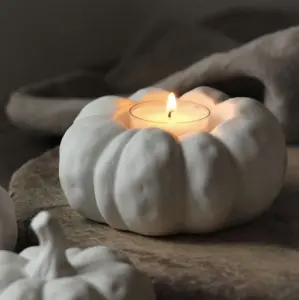 Pumpa Ljushållare, från Majas lyktor säljs till förmån för Barncancerfonden