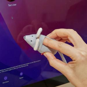 Squeaky clean mouse - Microfibermus för städning 