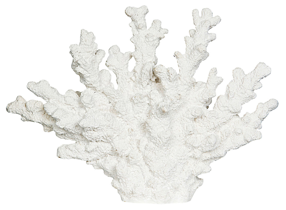 Dekoration Korall (vit) 