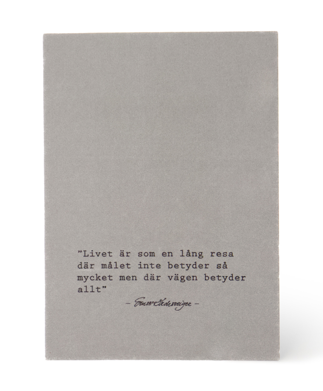 Kort Livet, grå - Ernst Kirchsteiger