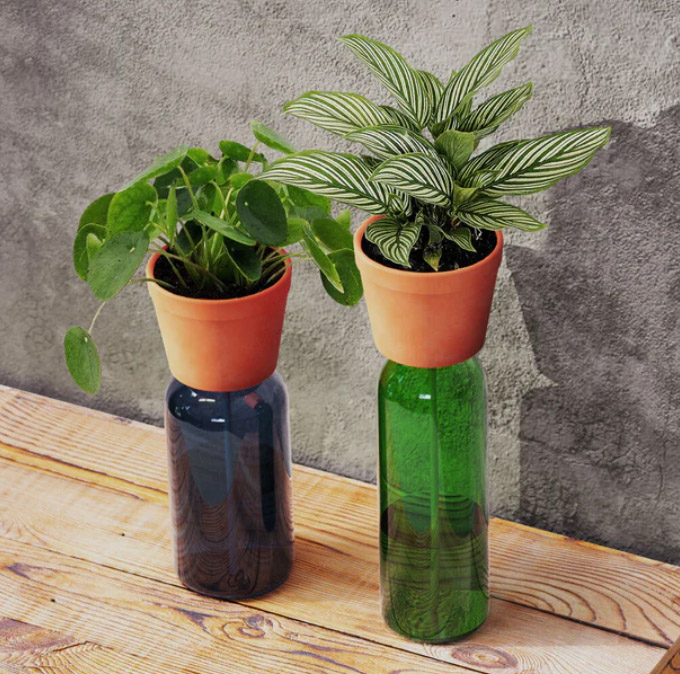 Bottle planter - kruka fr flaskor