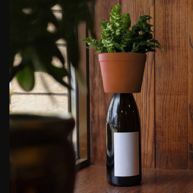 Bottle planter - kruka f?r flaskor • Pryloteket