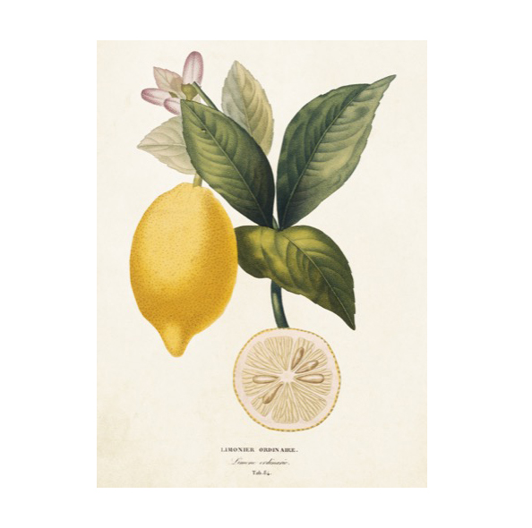 Kort Citron, 8,5x11,5 cm 