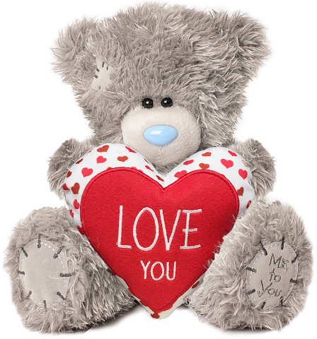 Nalle, Love You p hjrta, 25cm - Me To You