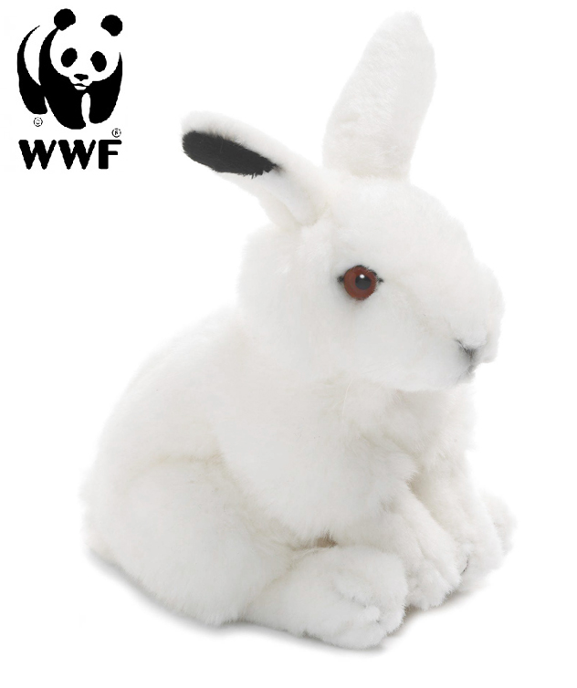 Vinterhare - WWF (Världsnaturfonden)