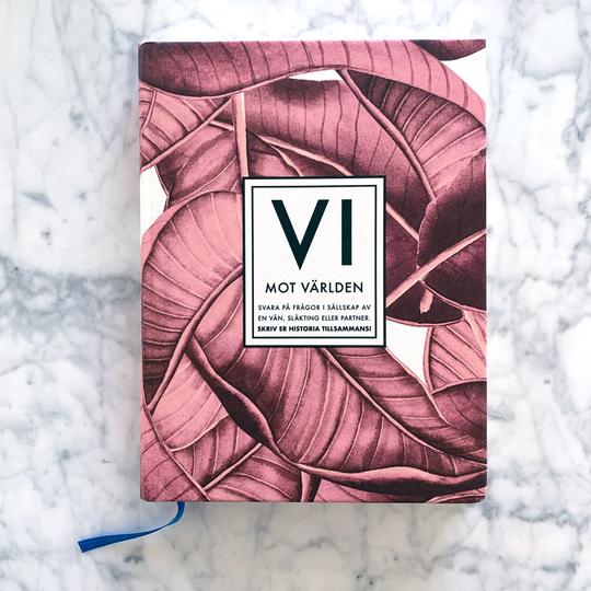 Bok Vi mot världen