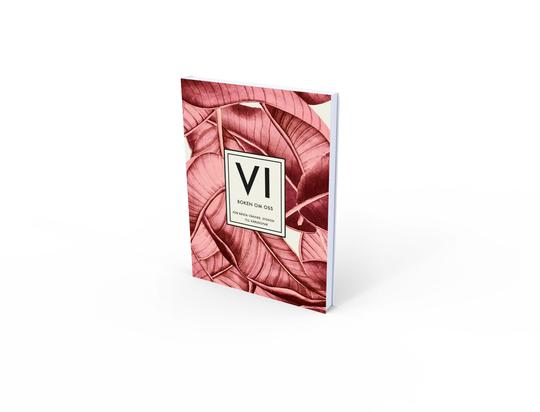 Bok Vi mot världen