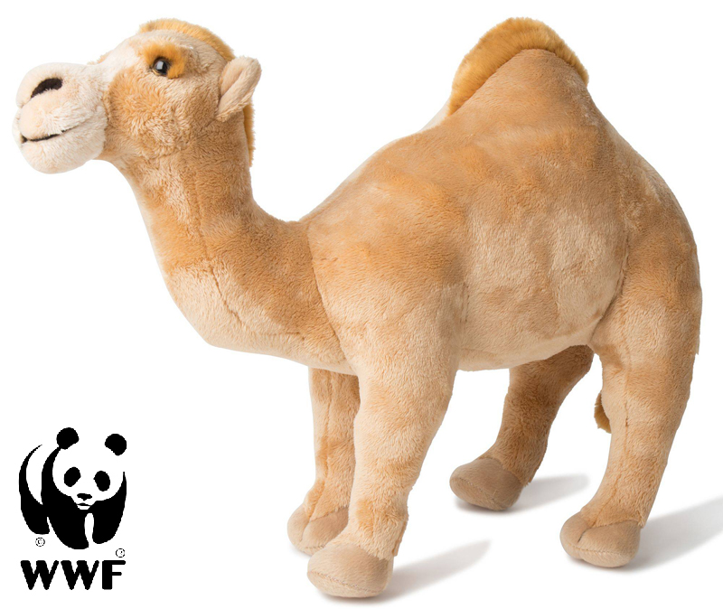 WWF (Världsnaturfonden) Dromedar - WWF (Världsnaturfonden)