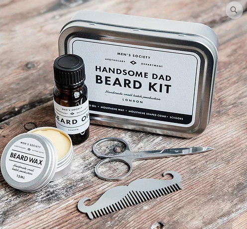 Handsome Dad Beard Kit (Skgg-kit) 