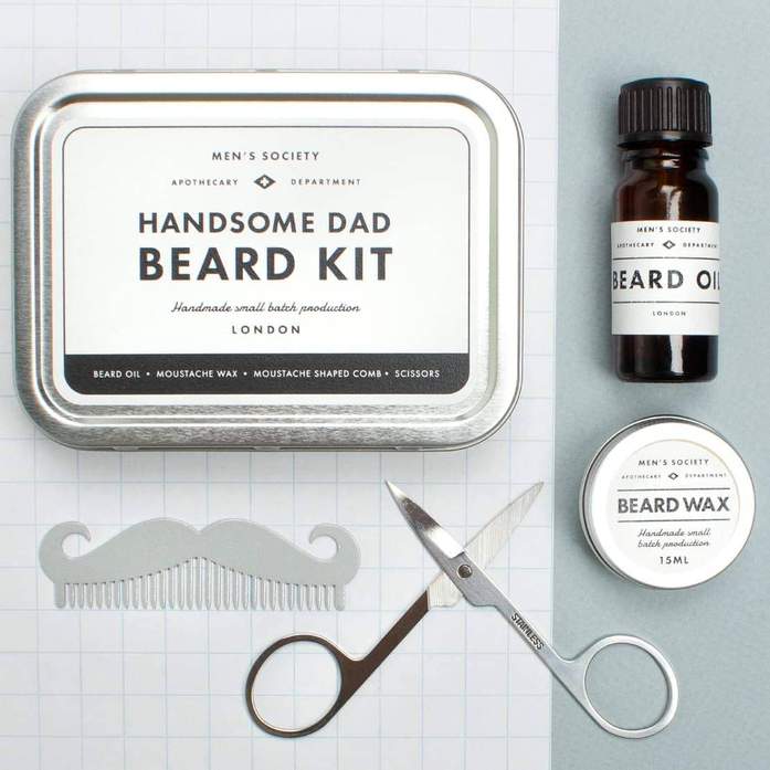 Handsome Dad Beard Kit (Skgg-kit) 