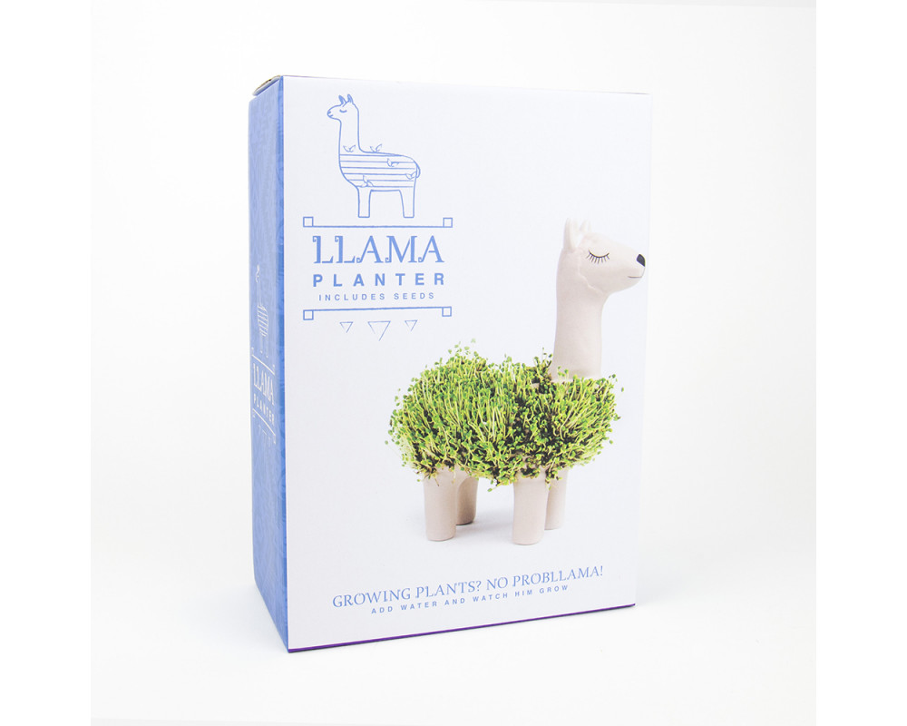 Kruka Lama (för egen odling)