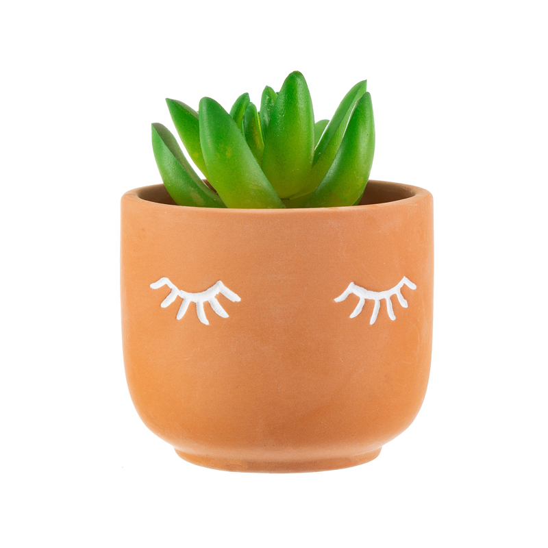 Minikruka Eyes
