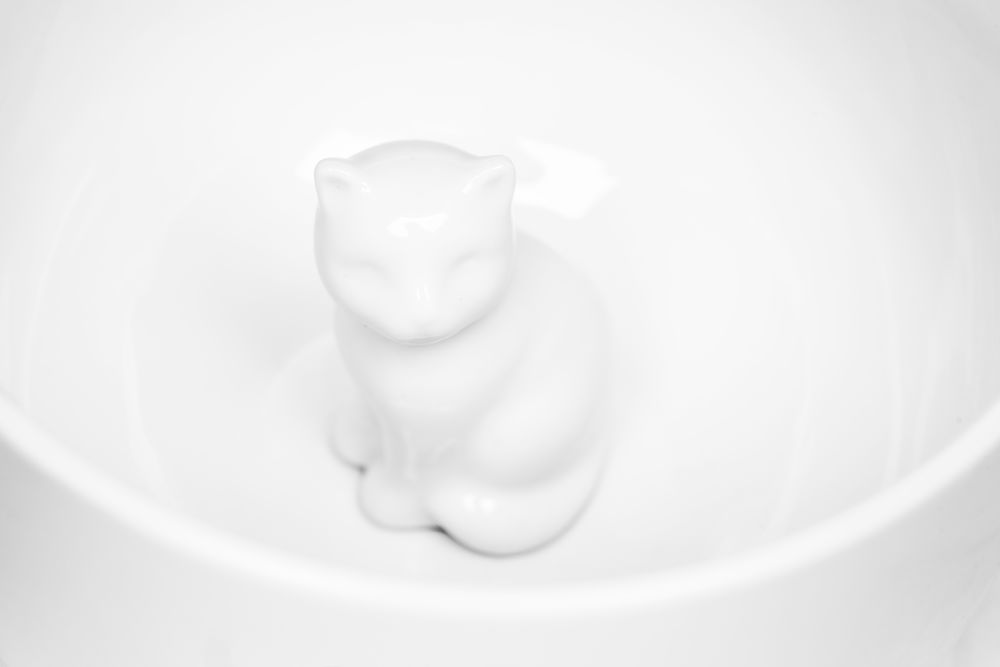 Mugg Cat från Sagaform