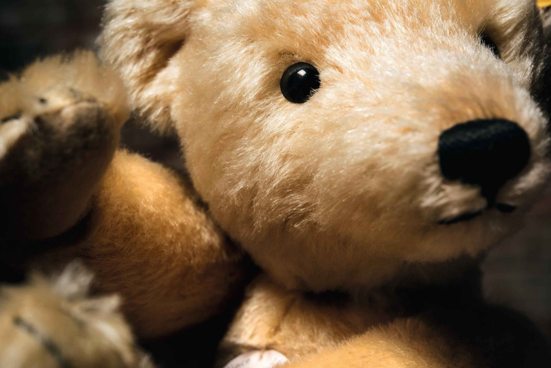 Steiff Amadeus, 36cm - Steiff