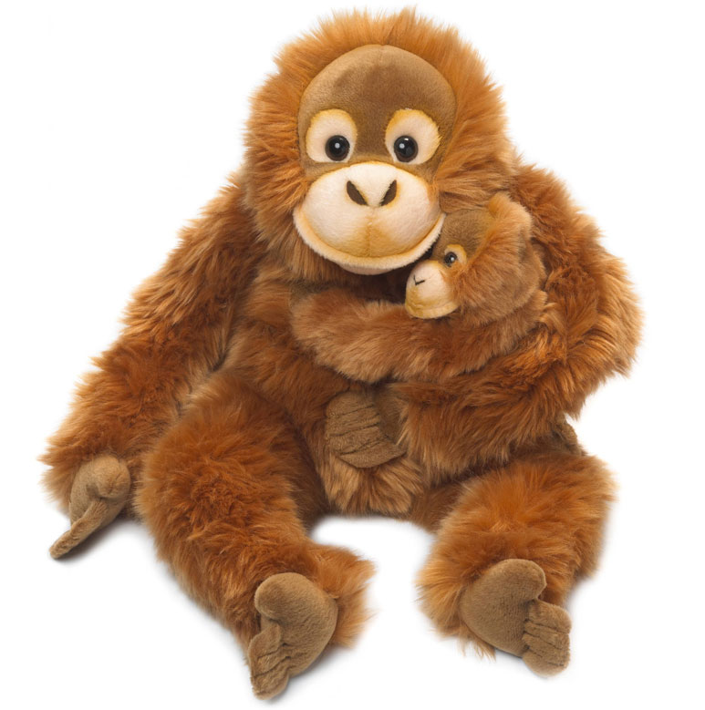Orangutang med baby - WWF • Pryloteket