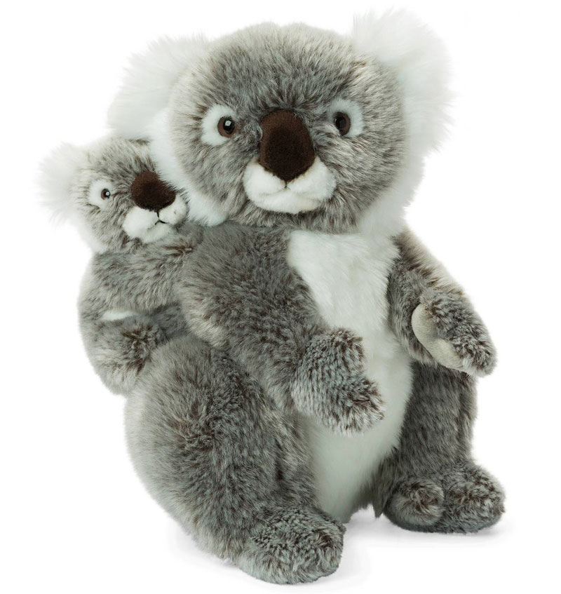 Koala med baby - WWF
