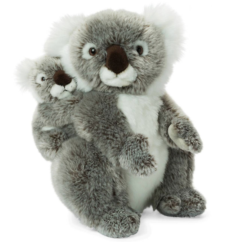 Koala med baby - WWF • Pryloteket