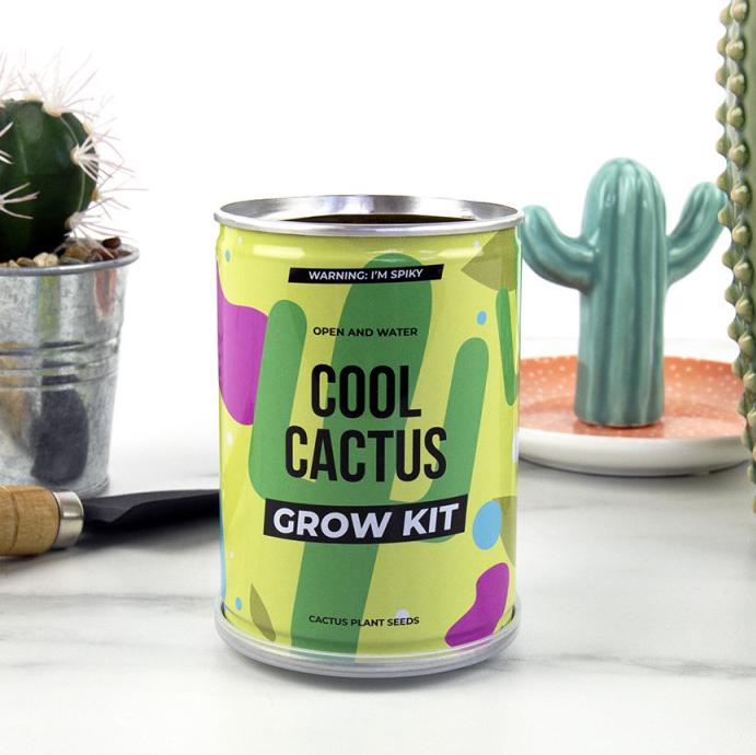 Odlingskit Cool Cactus