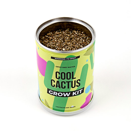 Odlingskit Cool Cactus