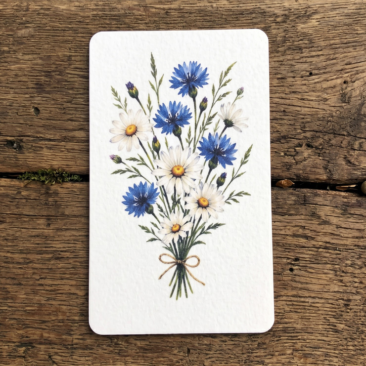 Paketkort Sommarbukett Blåklint & Prästkragar, 5,5 x 9cm