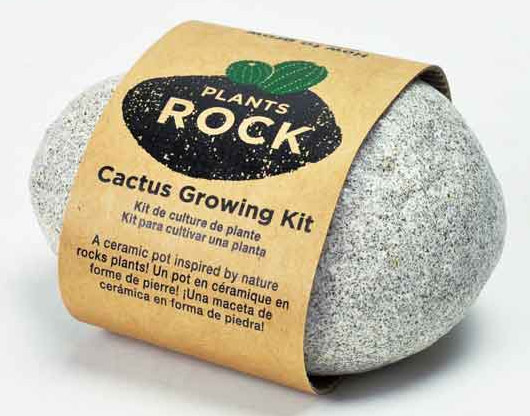 Plants Rock - planteringssten med kaktusar