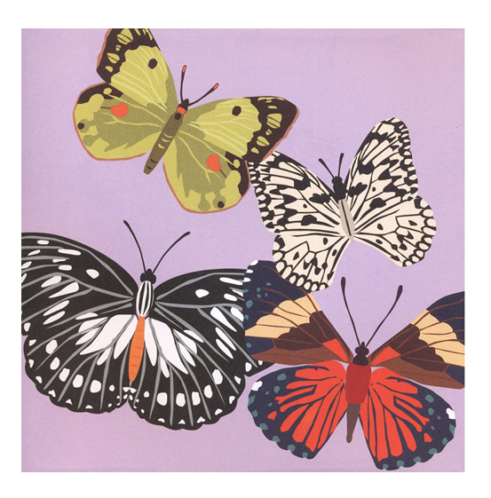 Pop-up kort Fjärilar 