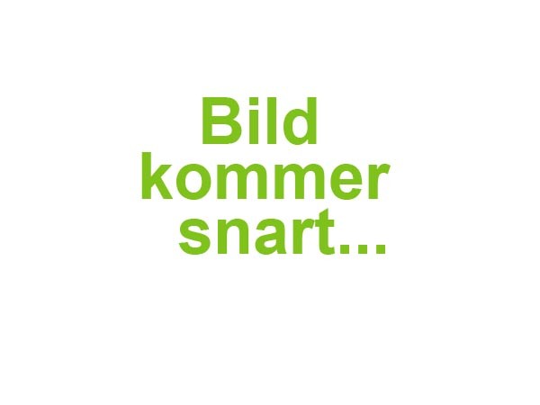 Kort