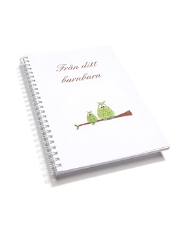 Från ditt Barnbarn (fyll-i-bok)