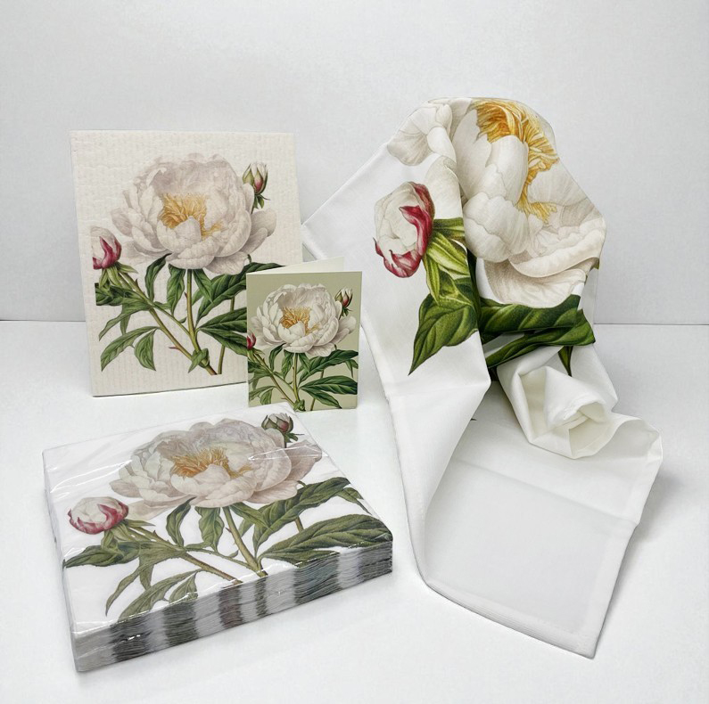 Presentset Vit Pion, i cellofan - Sköna Ting