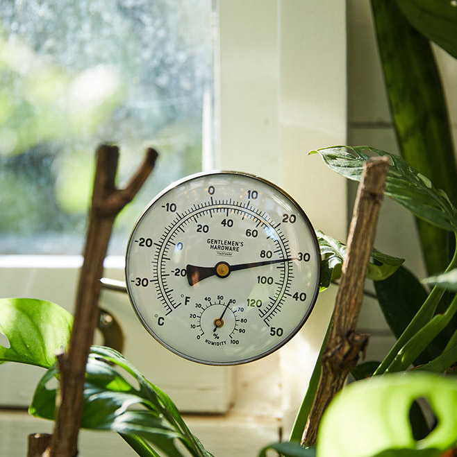 Trädgårdstermometer