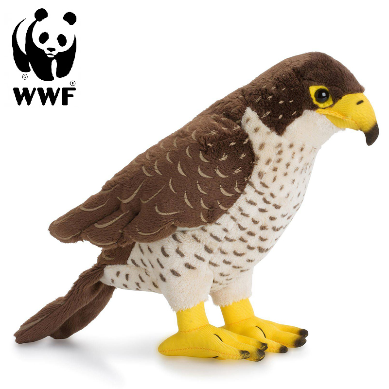 Falk - WWF • Pryloteket