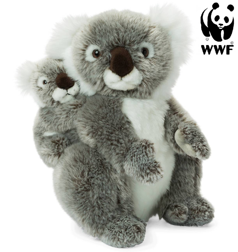 Koala med baby - WWF (Världsnaturfonden) • Pryloteket