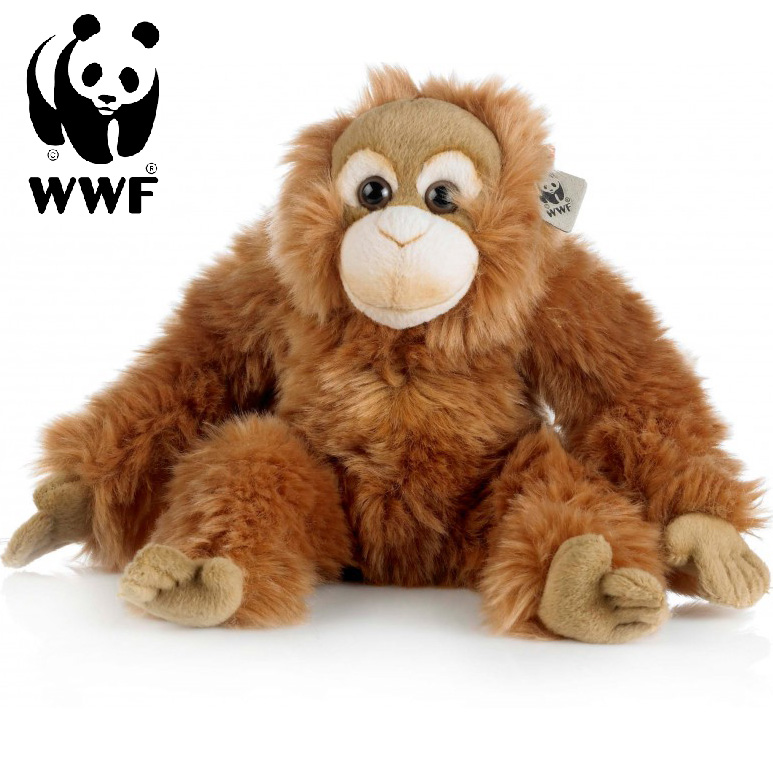 Orangutang - WWF (Världsnaturfonden) • Pryloteket