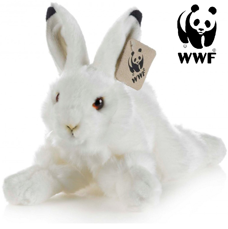 Vinterhare - WWF (Världsnaturfonden) • Pryloteket